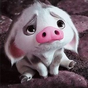 Meet your Posher, Terry